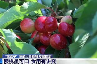 半岛官方体育app下载苹果手机